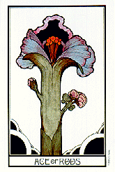[Ace of Wands]