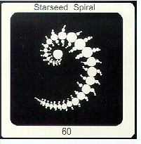 [Starseed Spiral]