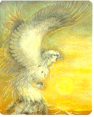 [Eagle Woman]