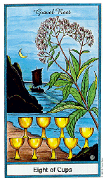 [6 of Pentacles]