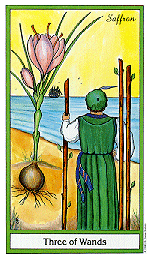 [2 of Wands]