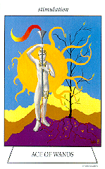 [Ace of Wands]