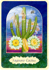 [Saguaro Cactus]