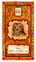 [Owl]