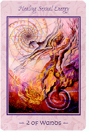 Venlighed Tilståelse gasformig Tarot of Transformation