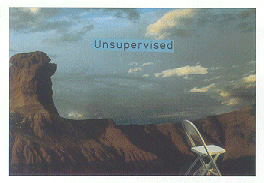 [Unsupervised]