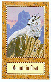 [Mountain Goat]